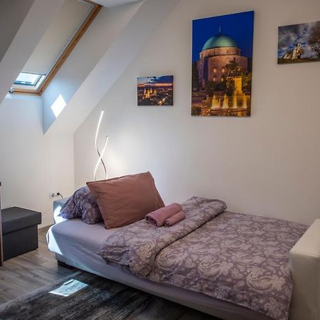 Zsuka Apartman Free Parking Pětikostelí Exteriér fotografie
