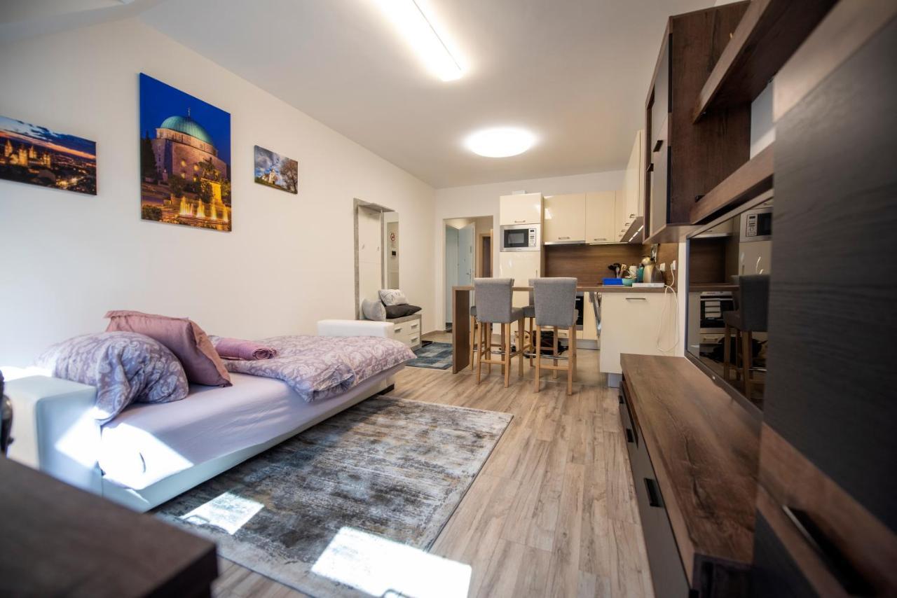 Zsuka Apartman Free Parking Pětikostelí Exteriér fotografie