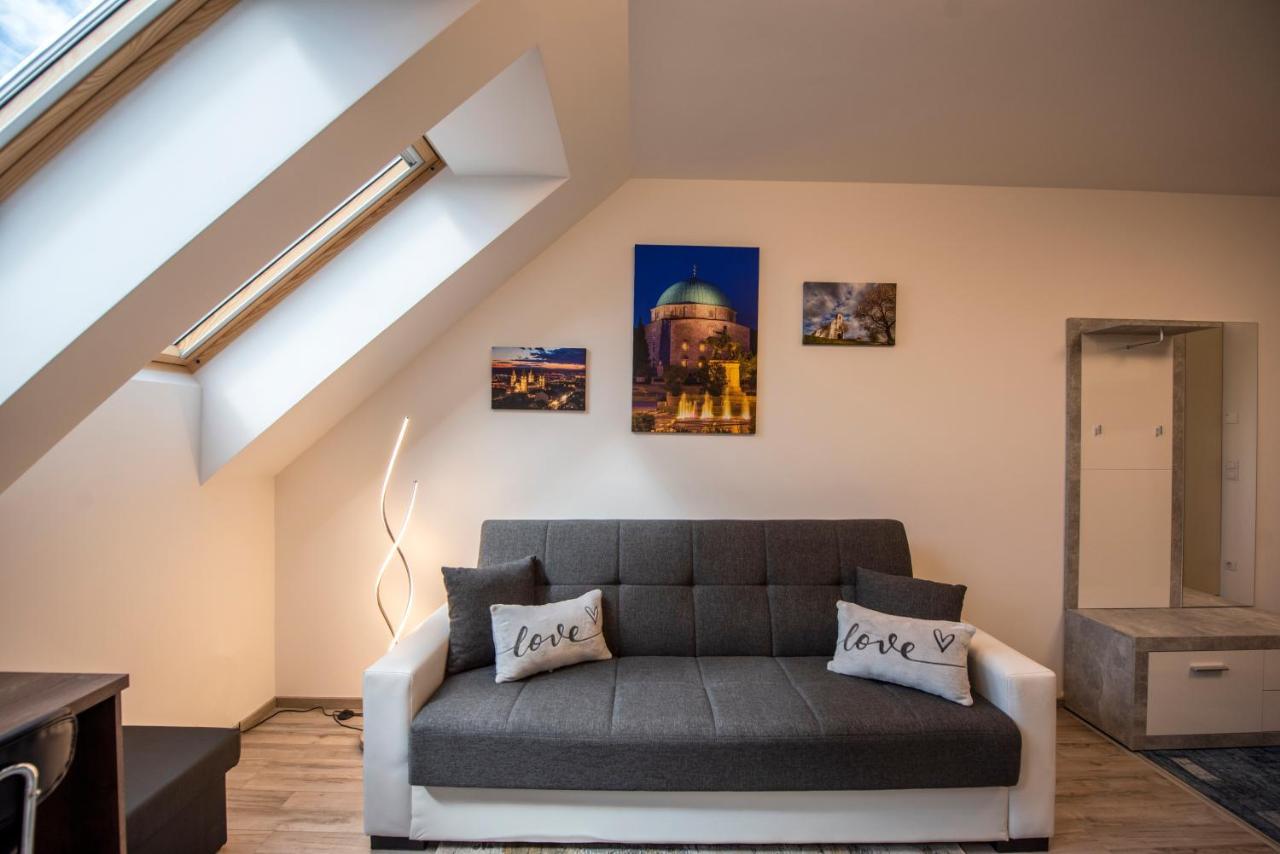 Zsuka Apartman Free Parking Pětikostelí Exteriér fotografie